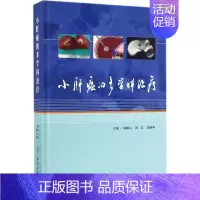 [正版]小肝癌的多学科治疗 陈敏山,徐立,郭荣平 内科医生临床治疗研究图书 医学类学习专业书籍 人民卫生出版