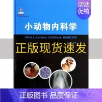 [正版]书现代农业科技专著大系小动物内科学王九峰中国农业出版社