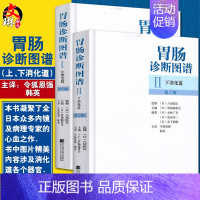 [正版]2本 胃肠诊断图谱 上下消化道第2二版精装套装2册 胃肠病学诊断技术 临床胃肠病学图谱 实用消化内科临床医学