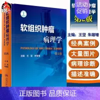 [正版] 软组织肿瘤病理学第2版第二版 王坚 朱雄增 肿瘤医学临床案例教程图谱 大内科学参考工具书籍 人民卫生出版社97