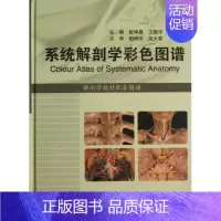[正版]系统解剖学彩色图谱 段坤昌 等编 外科学医生医师临床诊断治疗专业书籍 医学类图书 人民卫生出版社