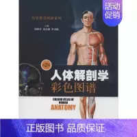 [正版]人体解剖学彩色图谱 第2版 无 柏树令 等 外科学医生医师临床诊断治疗专业书籍 医学类图书 上海科学技术出版