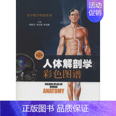 [正版]人体解剖学彩色图谱 第2版 无 柏树令 等 外科学医生医师临床诊断治疗专业书籍 医学类图书 上海科学技术出版