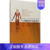 [正版]人体解剖学实验指导 第2版 米树文,白冰洋,崔玉发 外科学医生医师临床诊断治疗专业书籍 医学类图书 同济大学出版