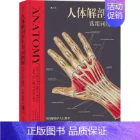 [正版]人体解剖学常用词图解 (澳)肯·阿什威尔 著 田锦勇 译 外科学参考资料图书 医学类专业书籍 科学技术文献出版社