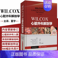 [正版] WILCOX心脏外科解剖学 临床医学 外科学 心脏外科解剖类图书中的经典著作 夏宇 主译 上海科学技术出版社9