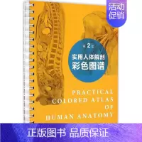 [正版]实用人体解剖彩色图谱 第2版 羊惠君 外科学医生医师临床诊断治疗专业书籍 医学类图书 人民卫生出版社