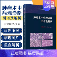 [正版] 肿瘤术中病理诊断图谱及解析 应建明 石素胜 杨琳 手术案例病理图片图谱病理学罕见病例诊断治疗肿瘤学冰冻切片外科