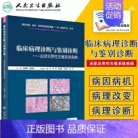 [正版] 临床病理诊断与鉴别诊断 泌尿及男性生殖系统疾病 周晓军 余英豪主编 泌尿外科学男科学人民卫生出版社 978