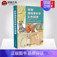 [正版]奈特简明骨科学彩色图谱第2版 Jon C.Tho,pson 著 赵建宁 等 译 外科学生活 书店图书籍 北京大学