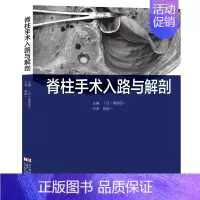 [正版]脊柱手术入路与解剖 菊低臣一 神经解剖学知识 颈椎胸椎腰椎 脊柱畸形手术学脊柱外科手术操作指南 骨科医学书籍