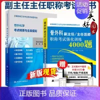 [正版]骨科副高骨外科学副主任主任医师职称考试强化训练4000题+考点精要与全真模拟 高级医师卫生技术考试指导书资料历年