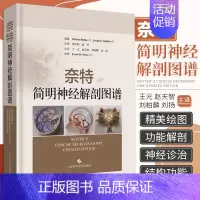 [正版] 奈特简明神经解剖图谱 王元 赵天智 刘柏麟 刘扬 主译 神经外科 神经系统解剖学解刨进阶课 上海科学技术出版社
