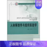 [正版]人体解剖学与组织胚胎学(中职/农村医学、护理、助产、影像、中医等专业)