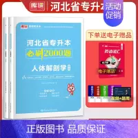 [正版]2025河北专升本人体解剖学必刷2000题河北省统招专接本人体解剖学必刷题习题集题库复习资料真题模拟试卷临床医学