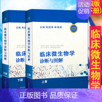 [正版]临床微生物学诊断与图解第4版上下册 临床微生物图谱书 实用临床微生物学检验与图谱 临床检验微生物医学类书籍上海科