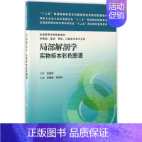 [正版]局部解剖学实物标本彩色图谱(供基础临床预防口腔医学类专业