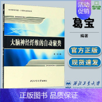 [正版]大脑神经纤维的自动聚类 葛宝 神经科学 临床医学 西北工业大学出版社