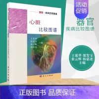 [正版]心脏比较图谱 王廷华 心血管病学 医学图谱 人体解剖学 医学或者动物学科研人员参考 临床学 医学类 科学出版社