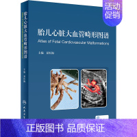 [正版]胎儿心脏大血管畸形图谱 夏红梅 编 儿童幼儿疾病临床诊断研究图书 医生医学类专业书籍 人民卫生出版