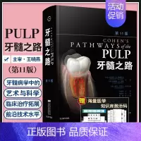 [正版]牙髓之路 第11版 牙髓治疗并发症的处理口腔科学书籍医学类专业书籍牙科牙髓治疗根管治疗图谱牙体牙髓病学临床牙髓再