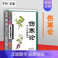 [正版]伤寒论 中医参考书籍 中医名著 临床理论养生中医药 经典著作 白话译文 医学卫生类图书 中医入门基础 生活保健
