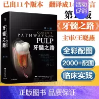 [正版]牙髓之路 第11版第十一版牙髓治疗并发症的处理口腔科学书籍医学类专业书籍牙科牙髓治疗根管治疗图谱牙体牙髓病学临床