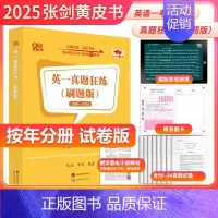 考研英语一真题卷[2005-2024] [正版]法硕核心组合2025考研 法学非法学 法律硕士考试分析+基础配套