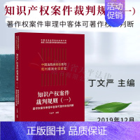 [正版] 中国法院类案检索与裁判规则专项研究 知识产权案件裁判规则(一)著作权案件审理中客体可著作权性判断 丁文严