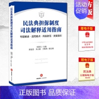 [正版]2021新 民法典担保制度司法解释适用指南 专题解读 适用难点 风险防范 类案指引 担保法律风险防范 担保纠纷诉
