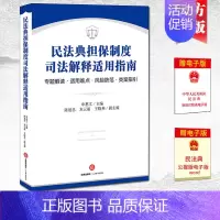 [正版]2021新 民法典担保制度司法解释适用指南 专题解读 适用难点 风险防范 类案指引 担保法律风险防范 担保纠纷诉