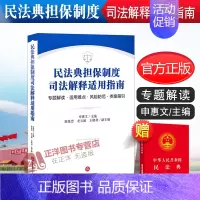 [正版]2021新 民法典担保制度司法解释适用指南 适用难点 风险防范 类案指引 担保法律风险防范 担保纠纷诉讼代理参考
