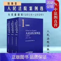 [正版]中法图 2022新 人民法院案例选分类重排本2016--2020刑事卷 人民法院 刑法案例解析方法论 刑事司法案