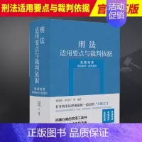[正版]2023新 刑法适用要点与裁判依据 类案检索 指导案例+典型案例 郝银钟 罗书平 刑事办案实用工具书 97875
