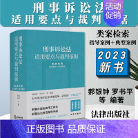 [正版]2023新书 刑事诉讼法适用要点与裁判依据 类案检索 指导案例+典型案例 郝银钟 罗书平 刑事办案实用工具书 法