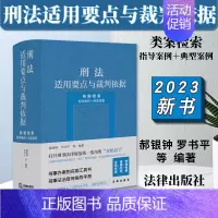 [正版]2023新 刑法适用要点与裁判依据 类案检索 指导案例+典型案例 郝银钟 罗书平 刑事办案实用工具书 978