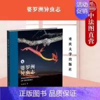 [正版] 婆罗洲异虫志 张巍巍 重庆大学出版社 婆罗洲昆虫照片 图鉴类昆虫书籍 博物学动物学昆虫学自然知识科普读物 昆虫