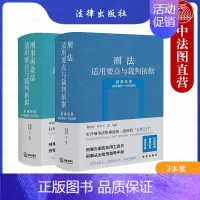 [正版] 刑法适用要点与裁判依据+刑事诉讼法适用要点与裁判依据 类案检索 指导案例 典型案例 郝银钟 刑事法治宣传指导手