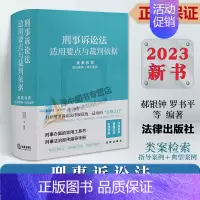[正版]2023新书 刑事诉讼法适用要点与裁判依据 类案检索 指导案例+典型案例 郝银钟 罗书平 刑事办案实用工具书 法