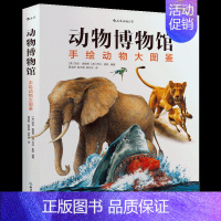 [后浪直营]动物博物馆:手绘动物大图鉴 [正版]动物博物馆:手绘动物大图鉴 6-9岁儿童动物科普 动物学分类图鉴野外照片