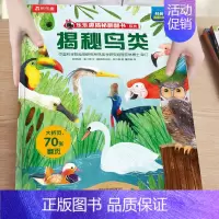 24.揭秘鸟类 [正版]揭秘系列儿童翻翻书3-6-8-12岁以上太空海洋恐龙人体汽车火车飞机绘本3d立体科普大小百科全书