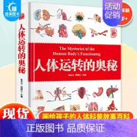 人体运转的奥秘 [正版] 人体运转的奥秘 人体大百科少儿百科全书 人体视觉图鉴 图解人体学 正常人体结构书 生活百科