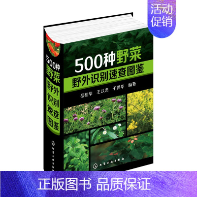 [正版]500种野菜野外识别速查图鉴 岳桂华 生物科学 生活百科书籍 植物花草识别图解书籍 植物特性药学图鉴 中医草药材