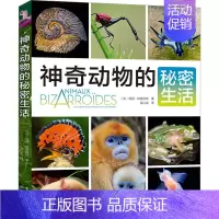 [正版]神奇动物的秘密生活 玛丽·特莱伯特 儿童科普百科书幼儿园小学生孩子启蒙认知书籍 中译出版社