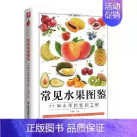 [正版]常见水果图鉴水果大全生活百科书籍 常见水果选购指南 存储方法食材价值营养成分功效解读清洗刀工食材搭配宜忌水果图鉴