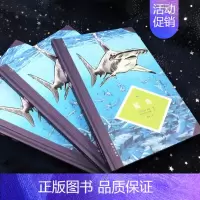 [正版]图文小百科 鲨鱼 漫画图解鲨鱼进化过程形态特征生活习性行为模式 漫
