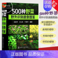 [正版] 500种野菜野外识别速查图鉴 生活百科书籍 植物花草识别图解书籍 认识身边常见植物介绍书 植物特性药学图鉴书