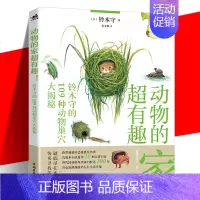 [正版]动物的家超有趣! 铃木守的109种动物巢穴大揭秘 (日)铃木守 日本科普作家神奇动物自然百科动物鸟巢防御动物巢穴
