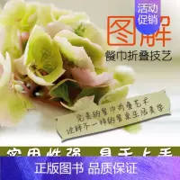 [正版]生活-图解餐巾折叠技艺餐巾折花餐巾艺术生活百科流行DIY情趣手工家居装饰餐桌装饰餐巾 折叠餐巾 DIY手工 餐桌