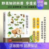 [正版]野菜轻图鉴 250余种常见野菜识别与食用指南 高清彩图 蔬菜品种特征鉴别营养价值 科普野菜知识书籍生活百科全书